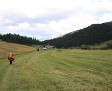 IMG_6942
